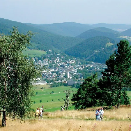 Fewo Kristallklar Inkl. Meinecard+ Appartement Willingen (Upland)